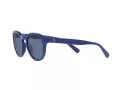 Polo PH 4184 5235/80 49 Men sunglasses