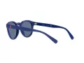 Polo PH 4184 5235/80 49 Men sunglasses