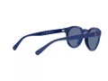 Polo PH 4184 5235/80 49 Men sunglasses