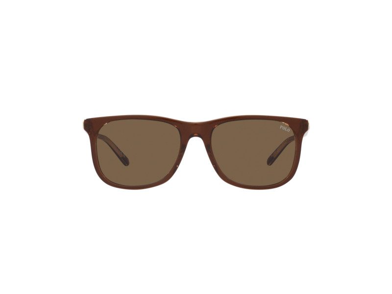 Polo PH 4186U 6029 73 55 Men sunglasses Contact lenses su