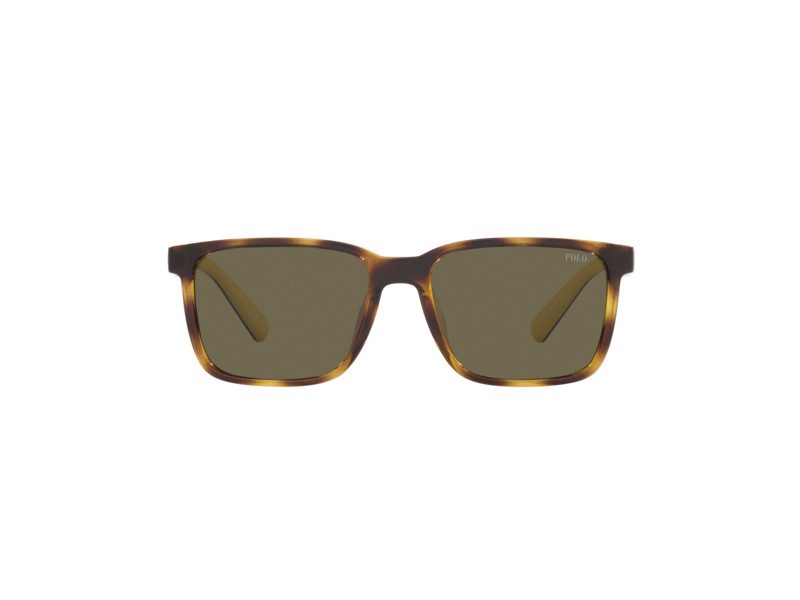 Polo PH 4189U 5003 3 55 Men sunglasses Contact lenses sun