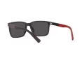 Polo PH 4189U 5375/87 55 Men sunglasses