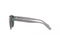 Polo PH 4192 541387 51 Men sunglasses