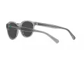Polo PH 4192 541387 51 Men sunglasses