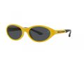 Polo PH 4197U 596187 56 Men sunglasses