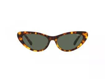 Polo PH 4199U 607871 54 Women sunglasses