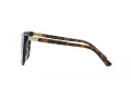Polo PH 4201U 500380 55 Women sunglasses