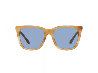 Polo PH 4201U 607972 55 Women sunglasses