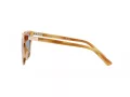 Polo PH 4201U 607972 55 Women sunglasses