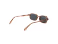 Polaroid PLD 4219/S 35J/M9 53 Men, Women sunglasses
