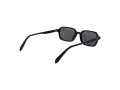 Polaroid PLD 4219/S 807/M9 53 Men, Women sunglasses