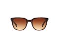 Ralph RA 5206 137813 51 Women sunglasses