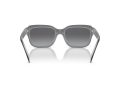 Ralph RA 5312U 6066T3 55 Women sunglasses