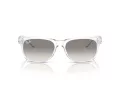 Ray-Ban New Wayfarer RB 2132 677432 55 Men, Women sunglasses