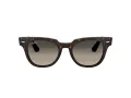 Ray-Ban Meteor RB 2168 902/32 50 Men, Women sunglasses