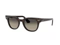 Ray-Ban Meteor RB 2168 902/32 50 Men, Women sunglasses