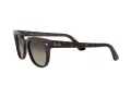 Ray-Ban Meteor RB 2168 902/32 50 Men, Women sunglasses