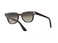 Ray-Ban Meteor RB 2168 902/32 50 Men, Women sunglasses