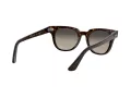 Ray-Ban Meteor RB 2168 902/32 50 Men, Women sunglasses