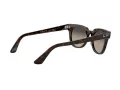 Ray-Ban Meteor RB 2168 902/32 50 Men, Women sunglasses