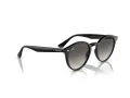 Ray-Ban RB 0RB2180 601/11 52 Men, Women sunglasses