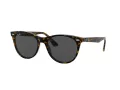 Ray-Ban Wayfarer Ii RB 2185 1292/B1 55 Men, Women sunglasses