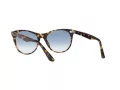 Ray-Ban Wayfarer Ii RB 2185 1332/3F 55 Men, Women sunglasses