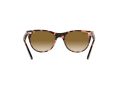 Ray-Ban Wayfarer Ii RB 2185 1334/51 52 Men, Women sunglasses