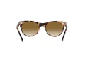 Ray-Ban Wayfarer Ii RB 2185 1334/51 55 Men, Women sunglasses
