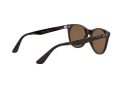 Ray-Ban Wayfarer Ii RB 2185 902/57 55 Men, Women sunglasses