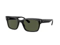 Ray-Ban Jeffrey RB 2190 901/31 55 Men sunglasses