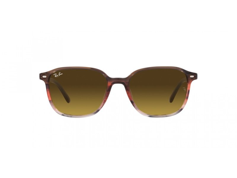 Ray-Ban Leonard RB 2193 138085 51 Men, Women sunglasses