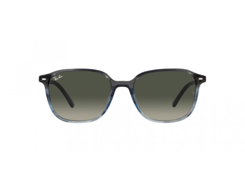 Ray-Ban Leonard RB 2193 138171 53 Men, Women sunglasses