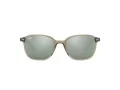 Ray-Ban Leonard RB 2193 66355C 53 Men, Women sunglasses