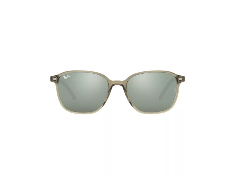 Ray-Ban Leonard RB 2193 66355C 53 Men, Women sunglasses