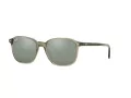 Ray-Ban Leonard RB 2193 66355C 53 Men, Women sunglasses