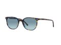 Ray-Ban Elliot RB 2197 13563M 52 Men, Women sunglasses