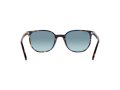 Ray-Ban Elliot RB 2197 13563M 52 Men, Women sunglasses