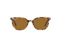 Ray-Ban Elliot RB 2197 1357/57 52 Men, Women sunglasses