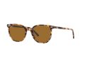 Ray-Ban Elliot RB 2197 1357/57 52 Men, Women sunglasses