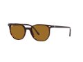 Ray-Ban Elliot RB 2197 902/33 52 Men, Women sunglasses