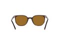 Ray-Ban Elliot RB 2197 902/33 52 Men, Women sunglasses