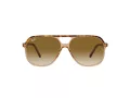 Ray-Ban Bill RB 2198 129251 60 Men, Women sunglasses