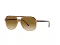Ray-Ban Bill RB 2198 129251 60 Men, Women sunglasses