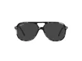 Ray-Ban Bill RB 2198 133348 56 Men, Women sunglasses