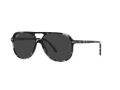 Ray-Ban Bill RB 2198 133348 56 Men, Women sunglasses