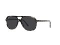 Ray-Ban Bill RB 2198 133348 60 Men, Women sunglasses