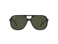 Ray-Ban Bill RB 2198 901/31 60 Men, Women sunglasses