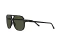 Ray-Ban Bill RB 2198 901/31 60 Men, Women sunglasses