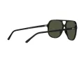 Ray-Ban Bill RB 2198 901/31 60 Men, Women sunglasses